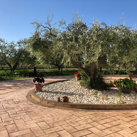 B&b Villa Eden Ortona Esterno foto